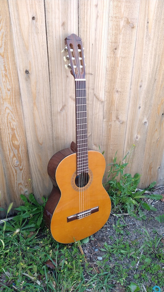 エピフォンミシガン EC-20 マツモク製 70年代　クラシックギター 70's Epiphone EC-20 Classical – Moze Guitars