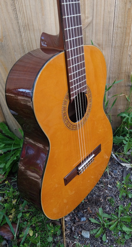 エピフォンミシガン EC-20 マツモク製 70年代　クラシックギター 70's Epiphone EC-20 Classical – Moze Guitars