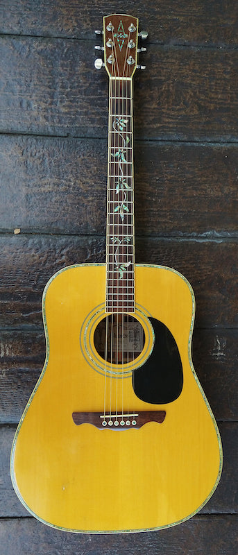 Alvarez PD100s Tree of Life – Moze Guitars