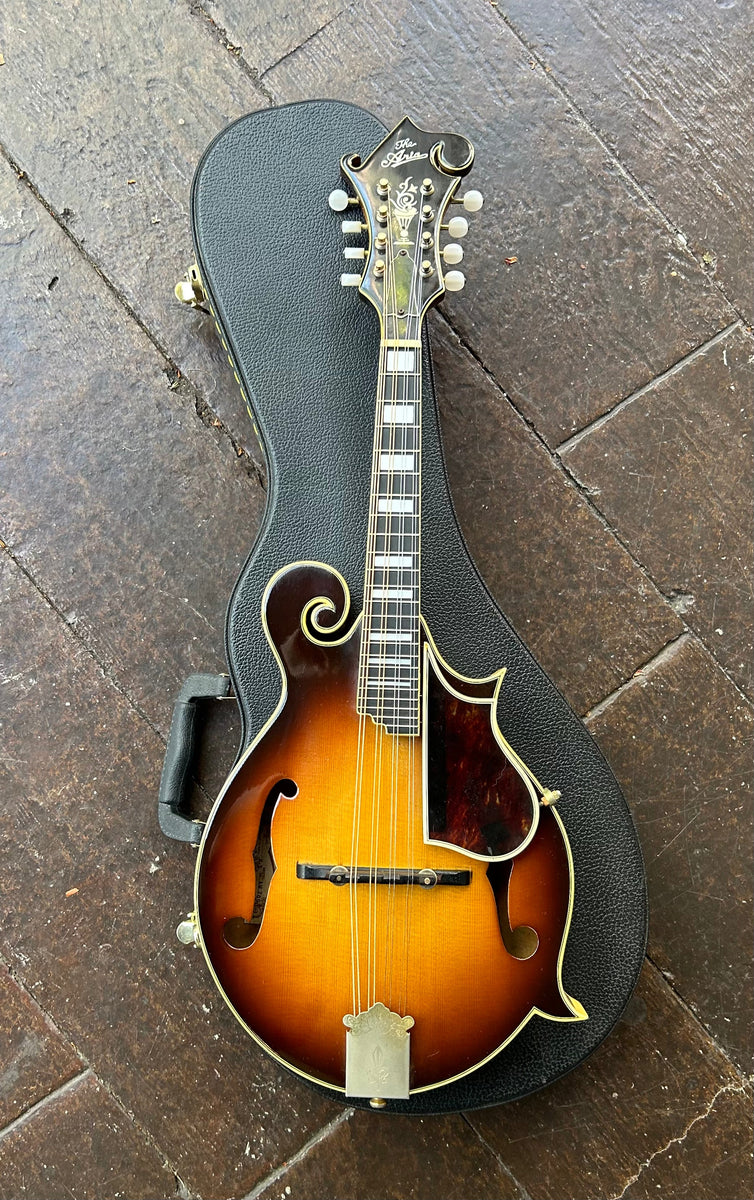 弦楽器 ARIA Mandolin Aria Mandolin – Moze Guitars