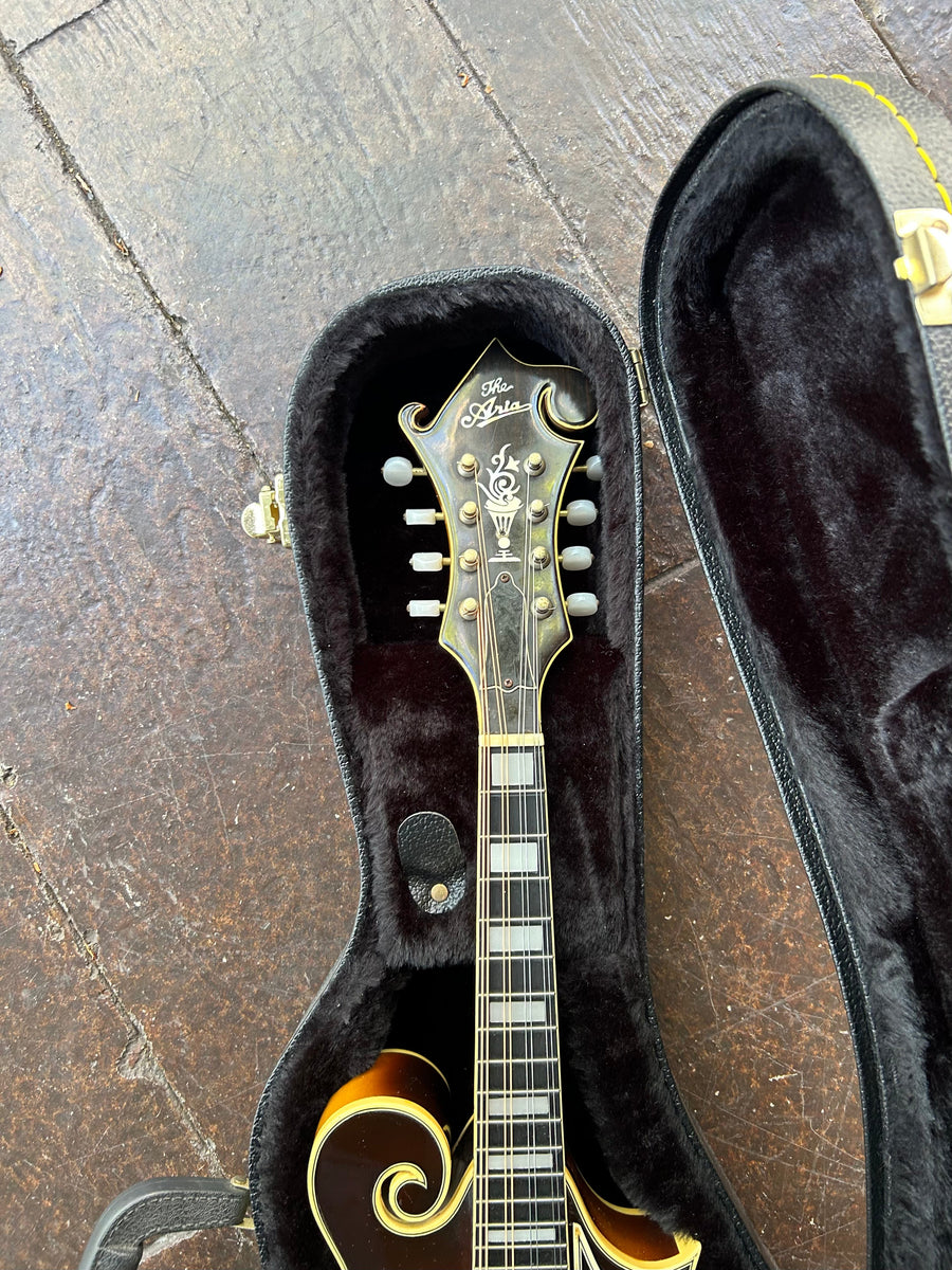 Aria Mandolin – Moze Guitars
