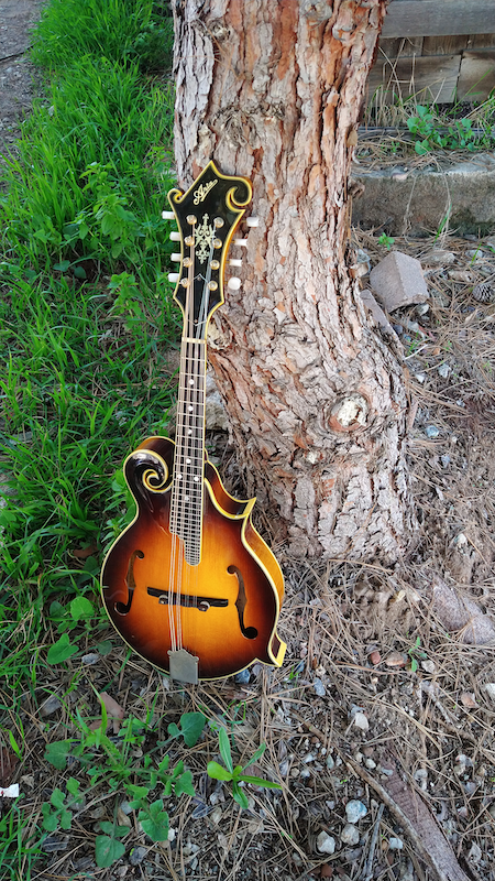 Aria Mandolin M800 – Moze Guitars