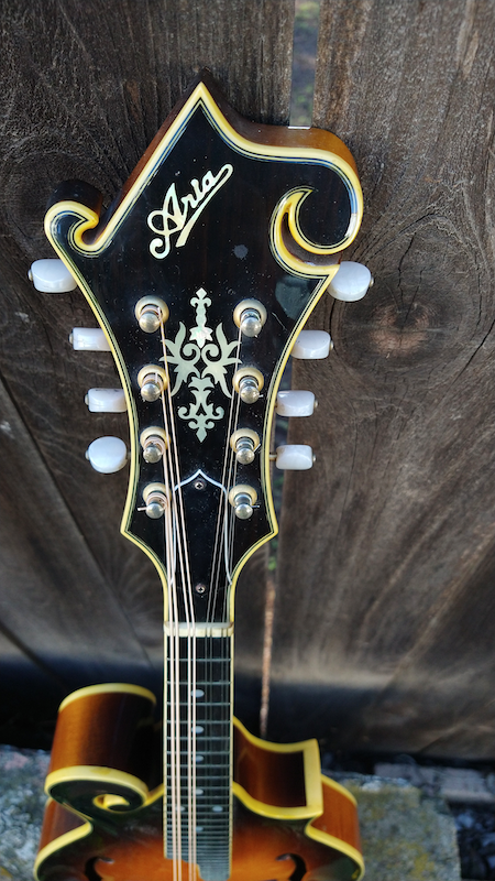 Aria Mandolin M800 – Moze Guitars