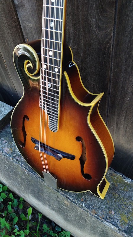 弦楽器 ARIA Mandolin Aria Mandolin – Moze Guitars