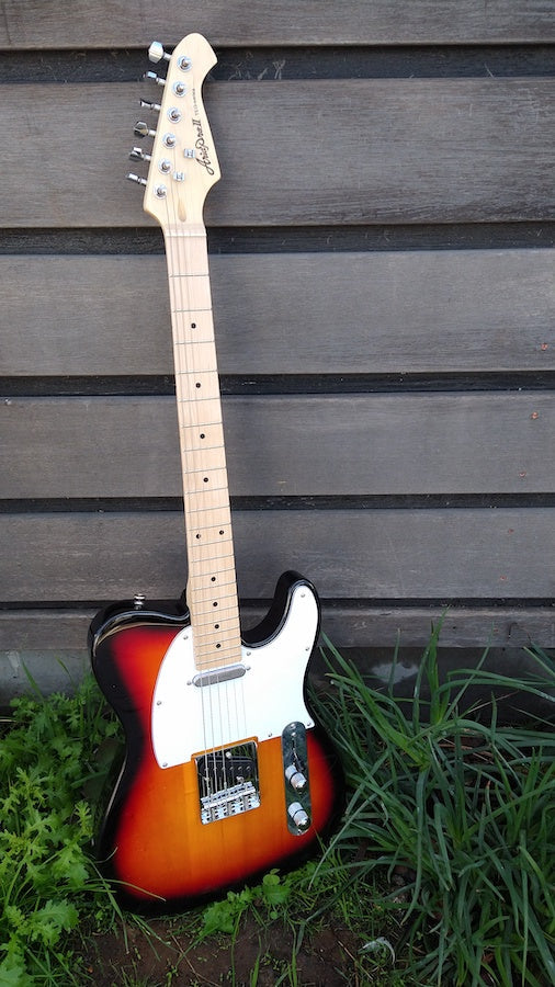 Aria Pro II TEG-002-3TS – Moze Guitars