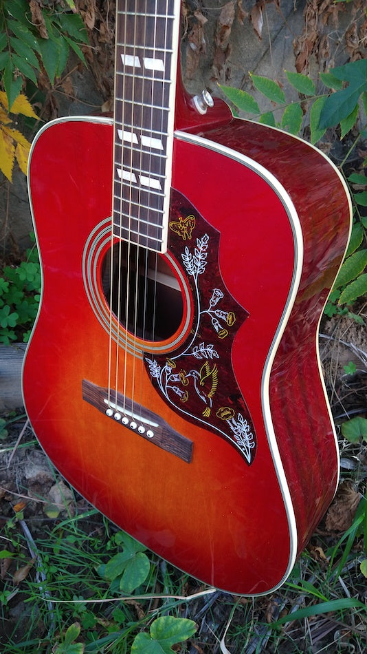 Epiphone Hummingbird – Moze Guitars