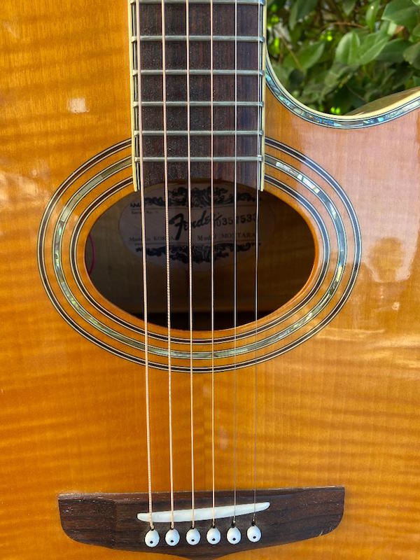 Fender Montara – Moze Guitars