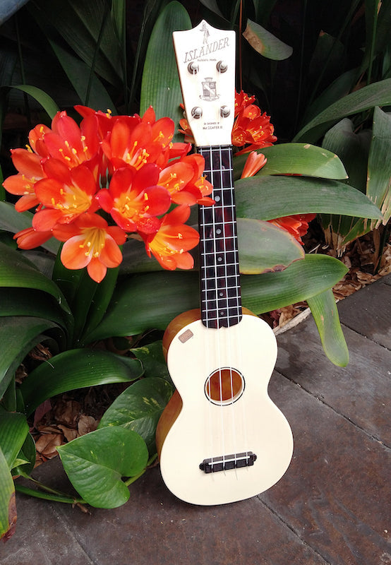 Maccaferri Islander Plastic Soprano – Moze Guitars