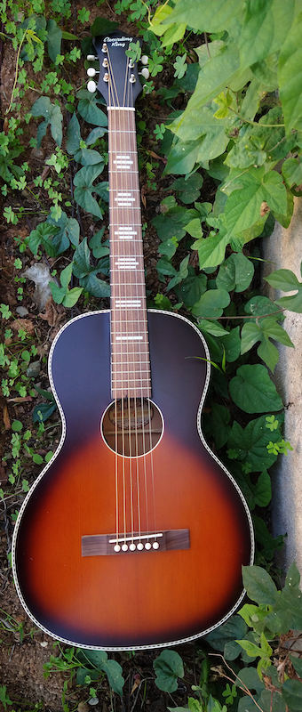 Recording King RPS-7-FE3-TS – Moze Guitars