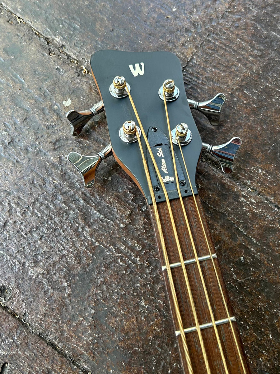 Warwick Alien Rockbass – Moze Guitars