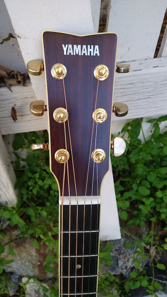 Yamaha LL16 – Moze Guitars