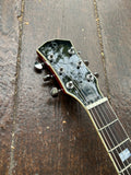 Sire Larry Carlton H7