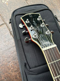 Sire Larry Carlton H7