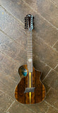Michael Kelly MK12XZISFX Forte Port 12 String