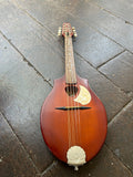 Seagull S8 Mandolin Burnt Umber