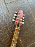Seagull S8 Mandolin Burnt Umber