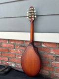 Seagull S8 Mandolin Burnt Umber