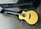 Ibanez AE390-NTA