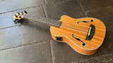Journeyman Acoustic-Electric U•BASS with F-Holes (Mahogany)