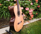 Kremona Classical Soloist F65c