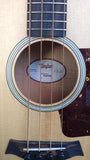 Taylor GS Mini Bass