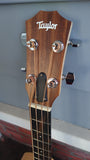 Taylor GS Mini Bass
