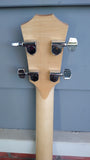 Taylor GS Mini Bass