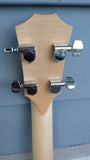 Taylor GS Mini Bass