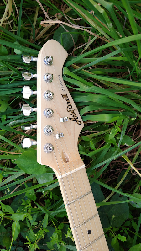 Aria Pro II TEG-002 Black – Moze Guitars