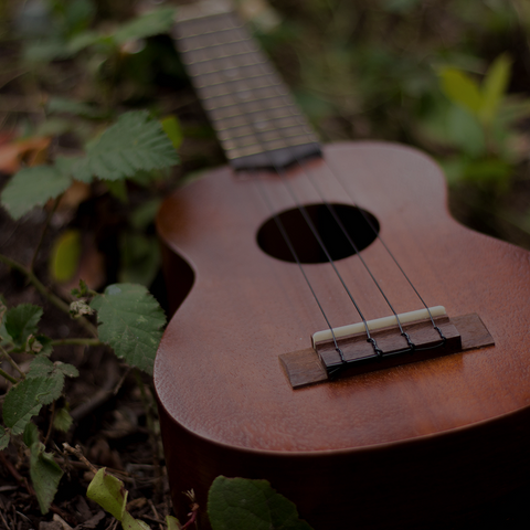 Ukulele