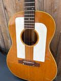 1965 Gibson F-25 Folksinger