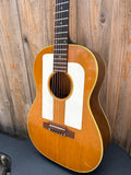 1965 Gibson F-25 Folksinger