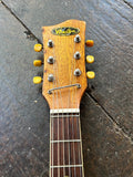 1968 Winston Violin Guitar