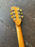 1968 Winston Violin Guitar