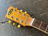 1968 Winston Violin Guitar