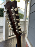 1969 Gibson ES-335 TD 12 String