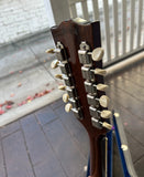 1969 Gibson ES-335 TD 12 String