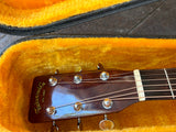 1974 Takamine F340