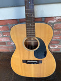 1977 Takamine 307 SF