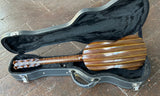 1978 Larry Higgins 4 course Renaissance guitar