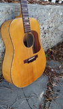 1978 Moze 14D Spruce Maple