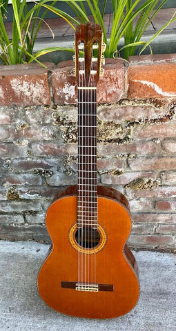 1978 Takamine C134s