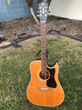 1980 Guild Acoustic D40 CNT