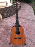 1980 James Goodall Custom