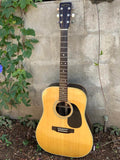 1980 Takamine F-360