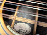 1984 Guild G312-NT (Twelve String)