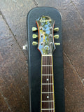 1996 Epiphone Sorrento LH-OR (Left Handed)