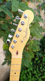 2000 USA Fender Telecaster Thinline