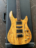 2001 Brian Moore Custom C-90P (13 Pin System)