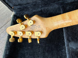 2001 Brian Moore Custom C-90P (13 Pin System)
